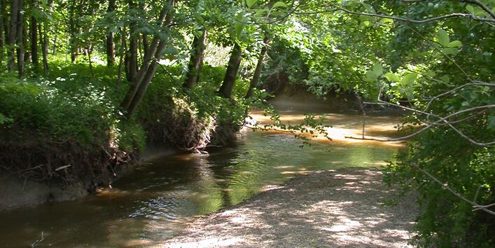 Kleiner Bach mit kleiner Sandbank und am Ufer stehen viele grüne Laubbäume