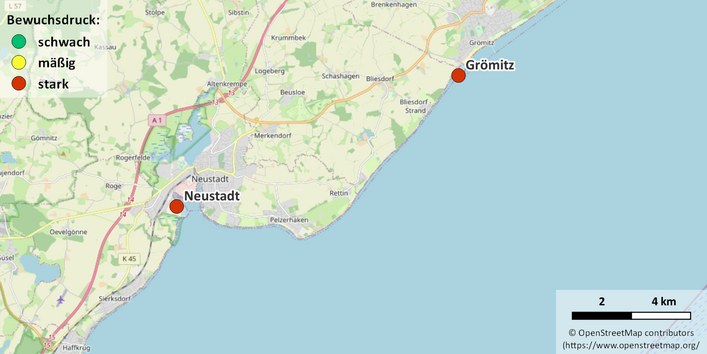 Kartenausschnitt Grömitz