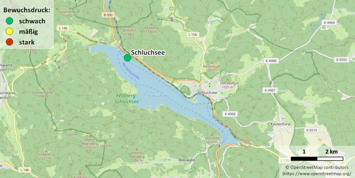 Kartenausschnitt Schluchsee