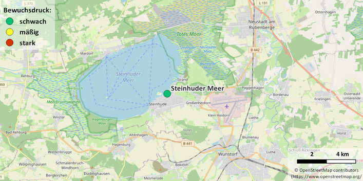 Kartenausschnitt Steinhuder Meer