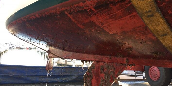 Ein Bootsrumpf mit Algen