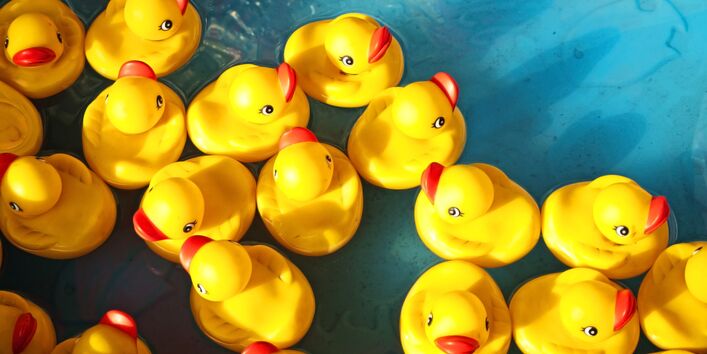Yellow rubber ducks