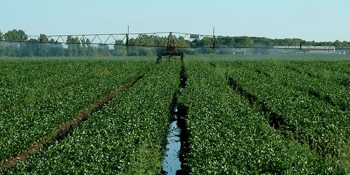 Ein Traktor fährt über ein Feld