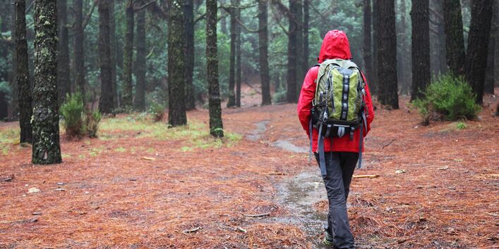 Eine Person mit Outdoorkleidung läuft durch einen regnerischen Wald.