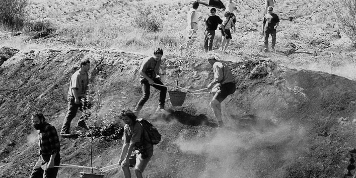 Die Kohlegrube zum Ergrüne bringen: Gartenexperimente im Tagebaurestloch