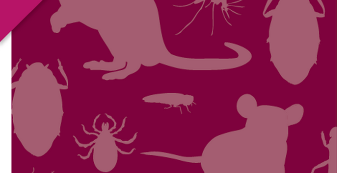 Das Cover der Publikation