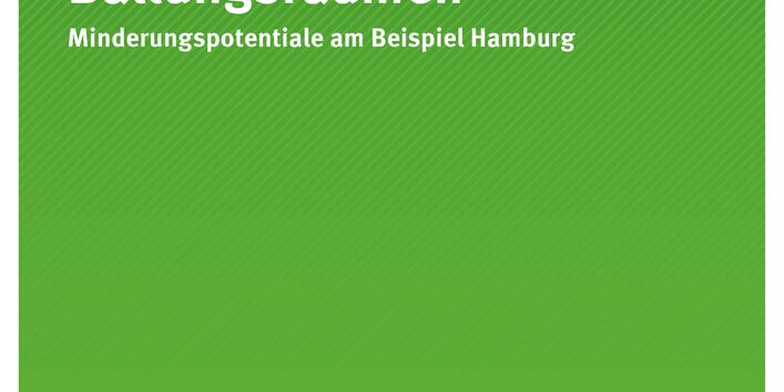Publikation:Lärmaktionsplanung in Ballungsräumen - Minderungspotentiale am Beispiel Hamburg