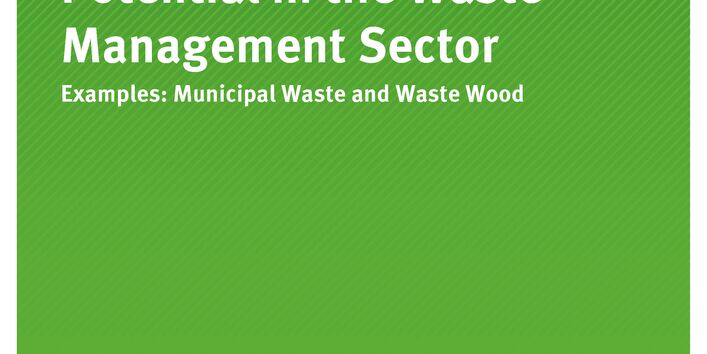 Publikation:Climate Protection Potential in the Waste Management Sector - Examples: Municipal Waste and Waste Wood