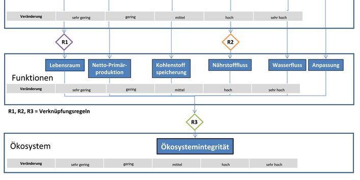 Grundschema zur Beurteilung der Ökosystemintegrität