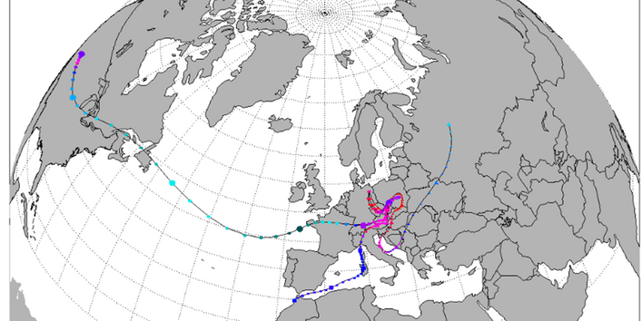 Die Karte zeigt den Verlauf von Rückwärtstrajektorien mit Endpunkt Neuglobsow für drei verschiedene Ankunftshöhen (500 m, 1000 m und 1500 m über Meereshöhe). Alle drei Linien weisen in den letzten Tagen vor der Ankunft auf eine Flugbahn über Tschechien und Polen hin. Die Färbung der Linien zeigt eine relativ niedrige Höhe über Geländeniveau an.