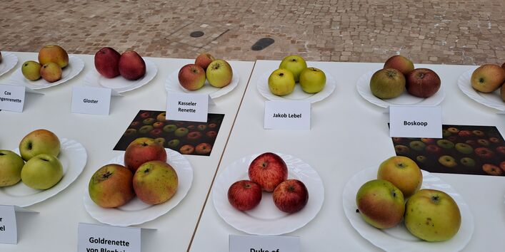 Verschiedene Apfelsorten auf einem Tisch mit Schildern