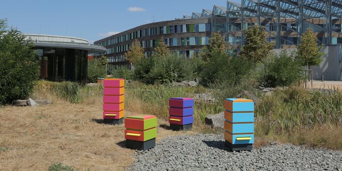 Foto der bunten Bienenkästen auf dem Gelände des UBA in Dessau