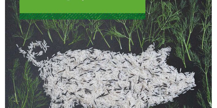 Reiskörner bilden die Kontur eines Schweins, daneben noch Gräser und Nüsse