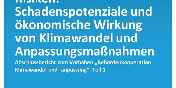 Cover_CC_29-2020_Bewertung_klimawandelgebundener_Risiken_Teilbericht_1