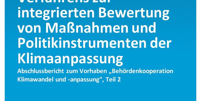 Cover_CC_30-2020_Bewertungsverfahren_Politikinstrumente_Teilbericht_2