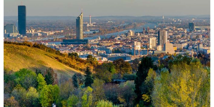 Weinberg mit Haus im Vordergrund. Stadt im Hintergrund.
