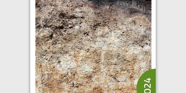 Wald, darunter Bodenprofil Waldboden