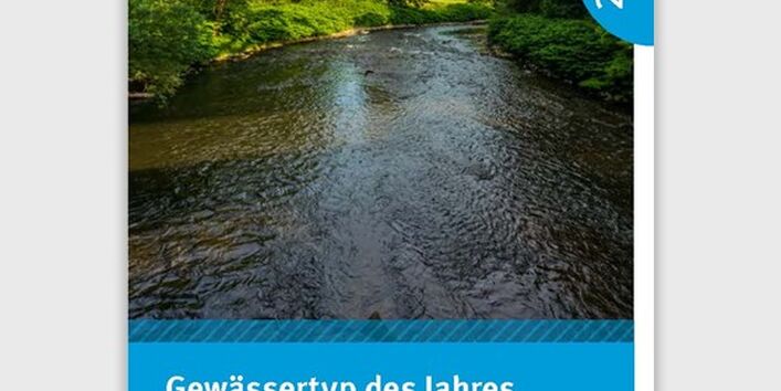 Fluss Wupper, am Ufer grüne Bäume und Büsche