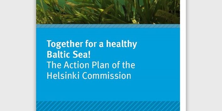 Underwater shot with sea gras and clear water