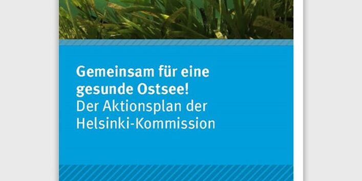 Unterwasserbild mit Seegras und klarem Wasser