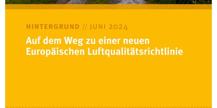 Feldweg zwischen gelben Blumenfeldern
