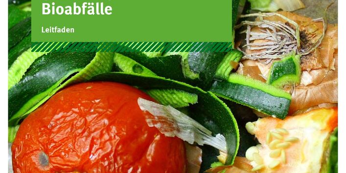 Obst und Gemüse in einer grünen Bioabfalltonne