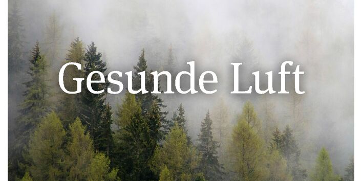 Titelbild. Nebel über dichtem Waldstück. Schwerpunkt 1-2019: Gesunde Luft