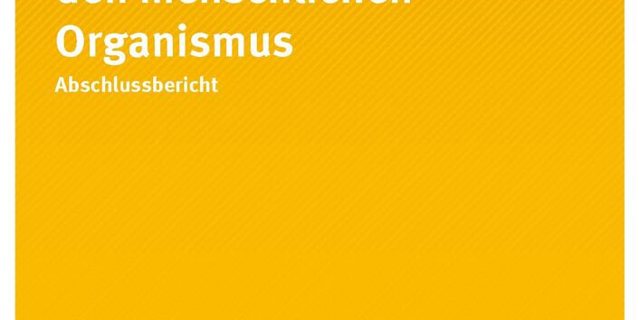 Eintragspfade von Blei in den menschlichen Organismus