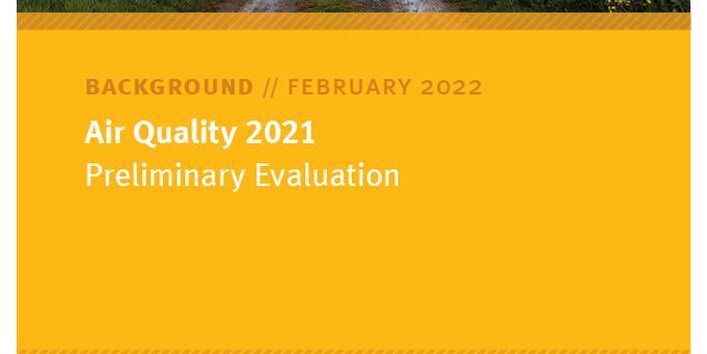 Field path with yellow flowers on the sides