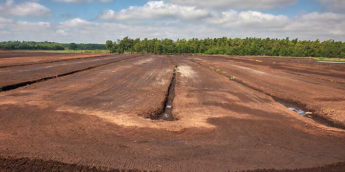 Entwässertes Moor sieht aus wie en Feld.