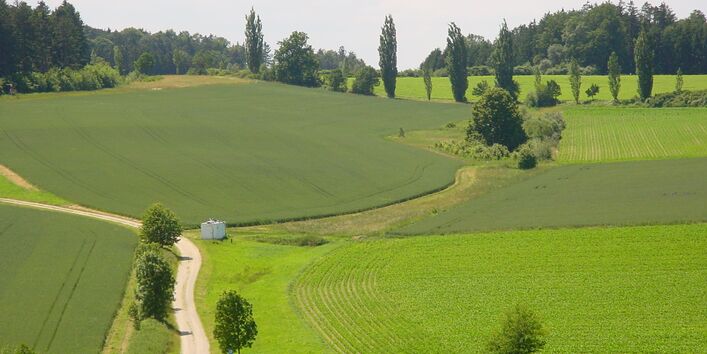 Grüne Wiesenlandschaft mit ein paar Pfaden