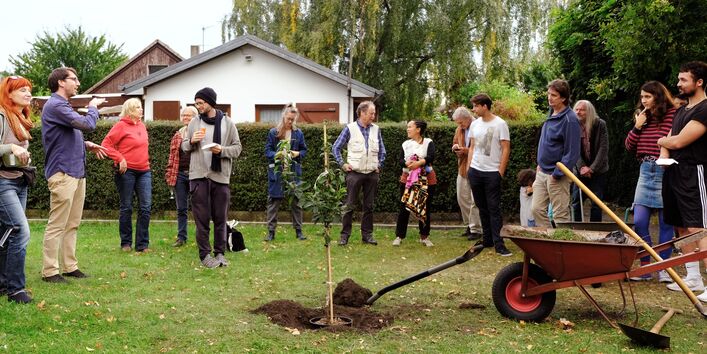 Leute pflanzen einen Baum auf einer Wiese
