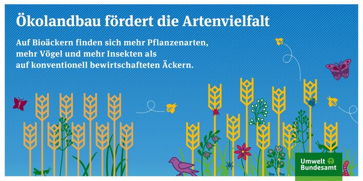 Auf Bioäckern findet sich mehr Biodiversität, als auf konventionellen Äckern