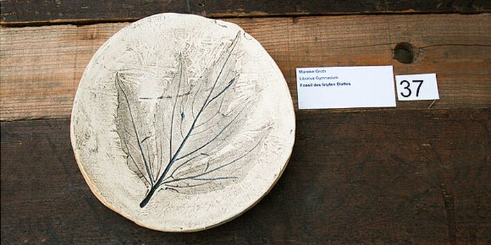 Fossil des letzten Blattes – Mareike Grot, Liborius Gymnasium