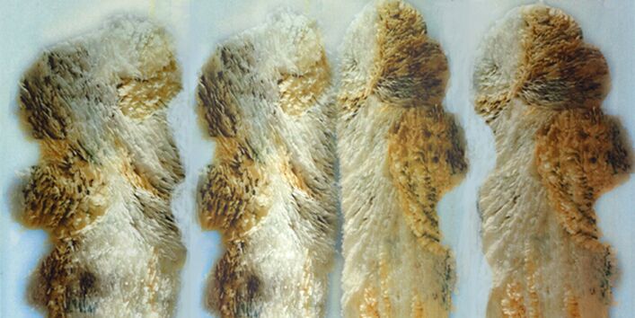 künstlerischer Wald