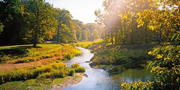 The photograph shows a stream running through a meadow. Trees and tree clusters line the edge of the meadow.