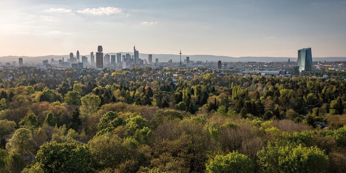 Looking over the top of a woodland, the picture shows the skyline of Frankfurt am Main. Skyscrapers and the tv tower rise high above the landscape. In the background, the Taunus mountain range is visible.