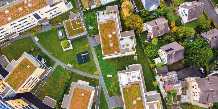 The picture shows an aerial view of a residential area consisting of single- and multi-family houses. There are patches of grass and trees amongst the buildings. The roofs of the multi-family houses are greened. 