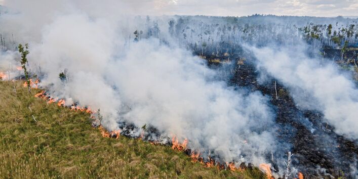 The picture shows an extensive forest fire. Greyish-white smoke is rising from the seat of the fire. A burnt forest area is visible in the background.