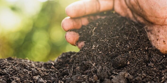 The picture shows a hand forming a small mound of dark-brown, humus-rich soil.