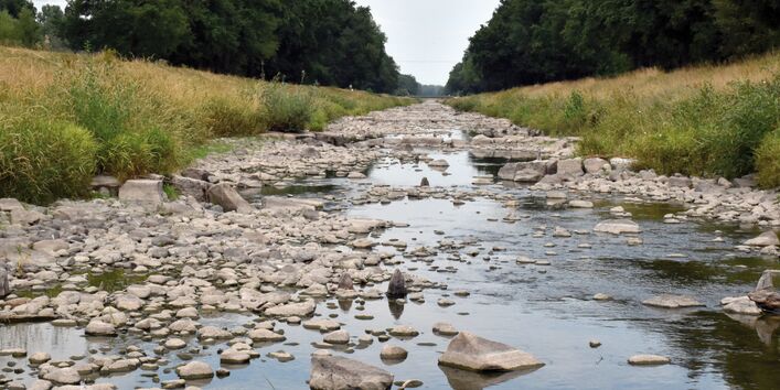 The picture shows a river with a low water level. There are smallish stones and large rocks projecting from the water. The river banks are covered in high grass. There is a woodland adjacent to the river bank.