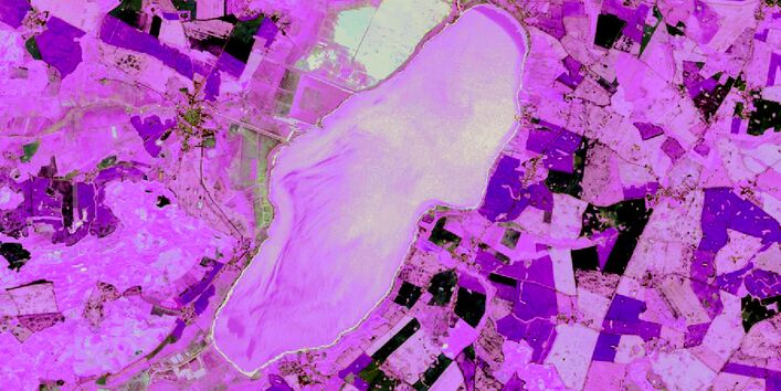 The picture shows an aerial view of a lake. Its surface is coloured a luminous green in places, owing to spring algal bloom. There are agricultural fields visible in the lake’s vicinity.