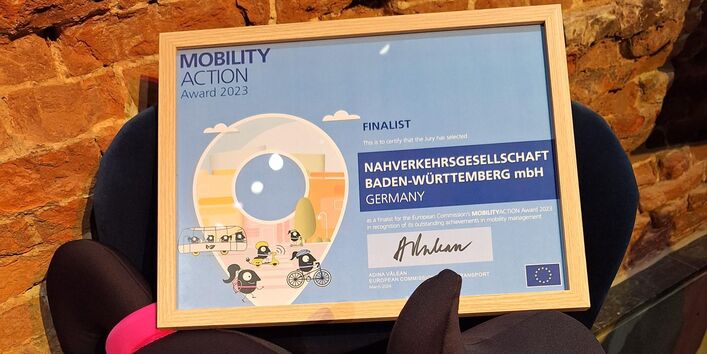 European Mobility Award