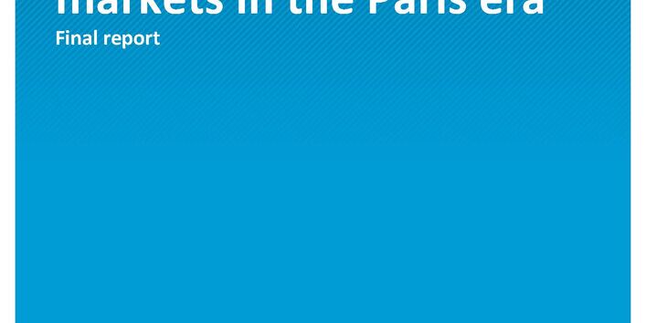 Cover of publication Climate Change 44/2020 Future role for voluntary carbon markets in the Paris era