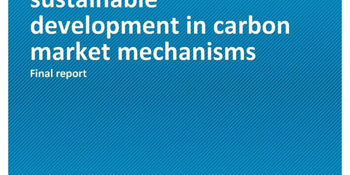 Cover of publication Climate Change 46/2020 Indicators for the promotion of sustainable development in carbon market mechanisms