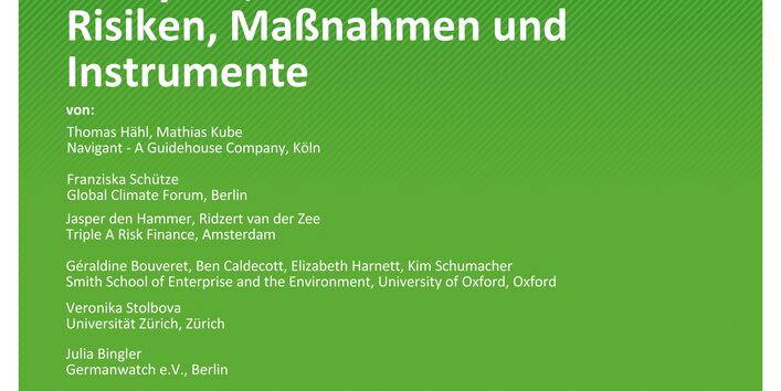 Cover der Publikation TEXTE 22/2021 Carbon Bubble – Analysen, wirtschaftliche Risiken, Maßnahmen und Instrumente