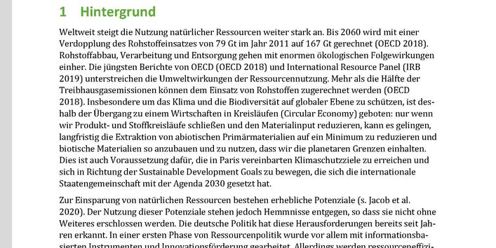 Titelseite des Policy Papers "Optionen für ökonomische Politikinstrumente zur Steigerung"