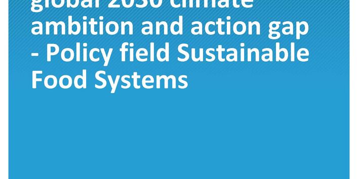Cover of the publication Climate Change 13/2021 Options for multilateral initiatives to close the global 2030 climate ambition and action gap - Policy field Sustainable Food Systems