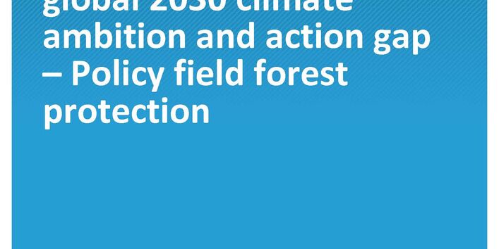 Cover of the publication Climate Change 14/2021 Options for multilateral initiatives to close the global 2030 climate ambition and action gap - Policy field forest protection