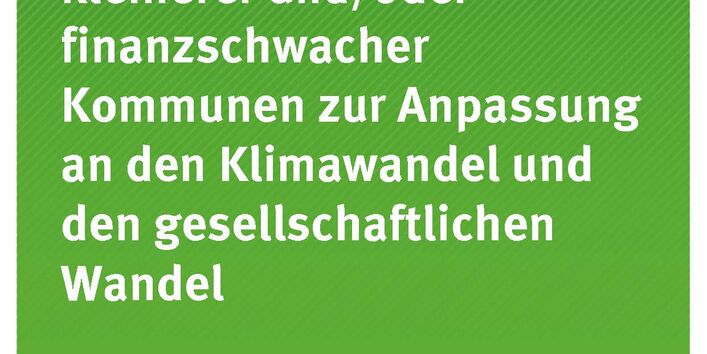 Cover der Publikation TEXTE 80/2021 Handlungsansätze kleinerer und/oder finanzschwacher Kommunen zur Anpassung an den Klimawandel und den gesellschaftlichen Wandel